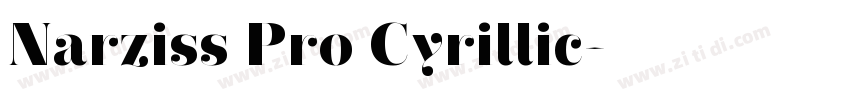 Narziss Pro Cyrillic字体转换